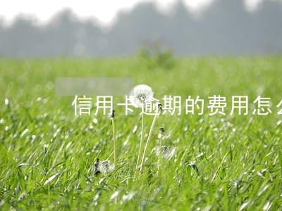 信用卡逾期的费用怎么查 信用卡逾期的费用怎么查
