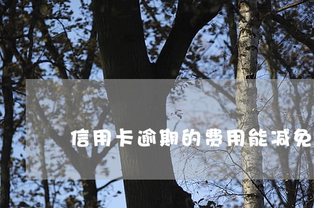 信用卡逾期的费用能减免吗 信用卡逾期的费用能减免吗