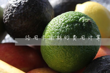 信用卡逾期的费用计算 信用卡逾期的费用计算