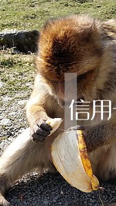 信用卡逾期的起算时间 信用卡逾期的起算时间