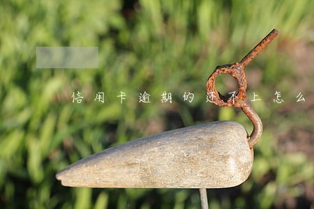 信用卡逾期的还不上怎么办 信用卡逾期的还不上怎么办