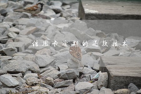 信用卡逾期的还款技术 信用卡逾期的还款技术