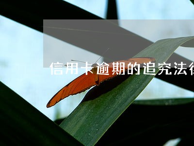 信用卡逾期的追究法律责任 信用卡逾期的追究法律责任
