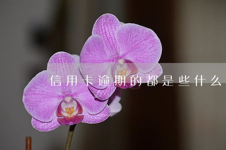 信用卡逾期的都是些什么人
