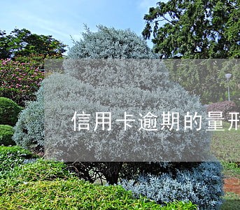 信用卡逾期的量刑 信用卡逾期的量刑