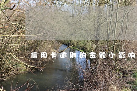 信用卡逾期的金额小影响征信吗 信用卡逾期的金额小影响征信吗
