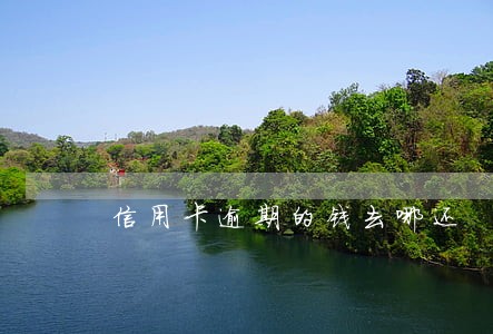 信用卡逾期的钱去哪还 信用卡逾期的钱去哪还