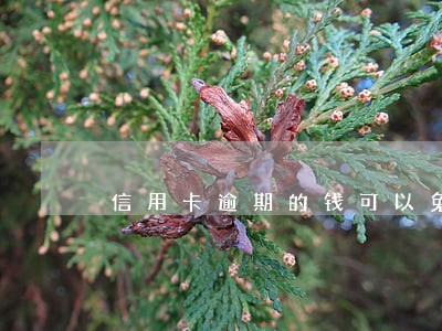 信用卡逾期的钱可以免吗 信用卡逾期的钱可以免吗