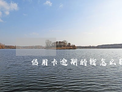 信用卡逾期的钱怎么转入微信 信用卡逾期的钱怎么转入微信
