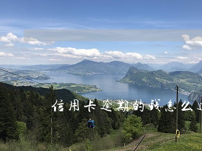 信用卡逾期的钱怎么追回来 信用卡逾期的钱怎么追回来