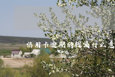 信用卡逾期的钱是什么意思 信用卡逾期的钱是什么意思