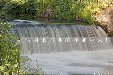 信用卡逾期的钱能用来炒股吗