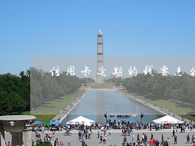 信用卡逾期的钱要怎么还钱