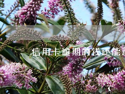信用卡逾期的钱还能追回吗