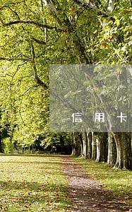 信用卡逾期的骗局 信用卡逾期的骗局