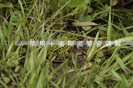 信用卡逾期监管会调解