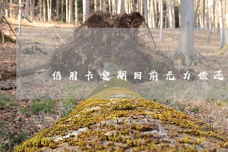 信用卡逾期目前无力偿还怎么办 信用卡逾期目前无力偿还怎么办