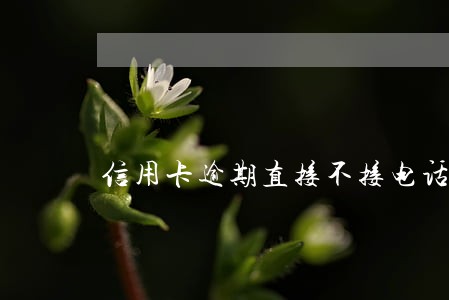 信用卡逾期直接不接电话 信用卡逾期直接不接电话