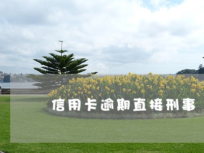 信用卡逾期直接刑事 信用卡逾期直接刑事