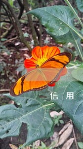 信用卡逾期直接划扣工资 信用卡逾期直接划扣工资