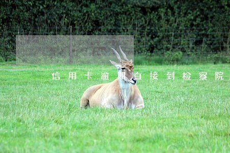 信用卡逾期直接到检察院吗