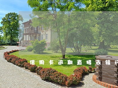 信用卡逾期直接去银行有用吗