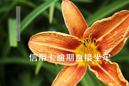 信用卡逾期直接坐牢 信用卡逾期直接坐牢