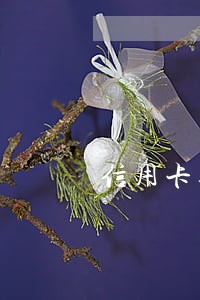 信用卡逾期直接官方银行电话 信用卡逾期直接官方银行电话