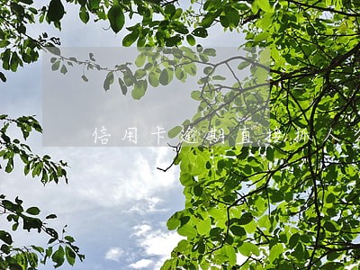 信用卡逾期直接抓人么