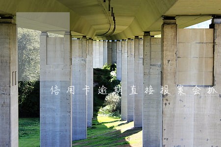 信用卡逾期直接报案会抓人么 信用卡逾期直接报案会抓人么