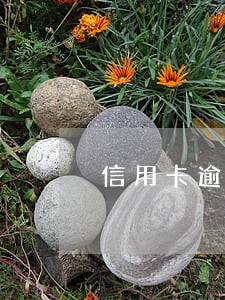 信用卡逾期直接报警