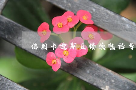 信用卡逾期直接换电话号码了 信用卡逾期直接换电话号码了