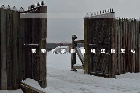 信用卡逾期直接注销怎么办 信用卡逾期直接注销怎么办