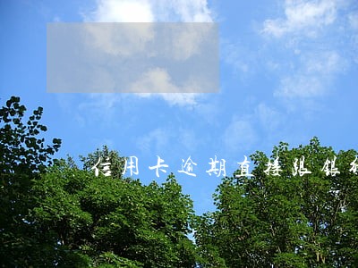 信用卡逾期直接跟银行协商 信用卡逾期直接跟银行协商