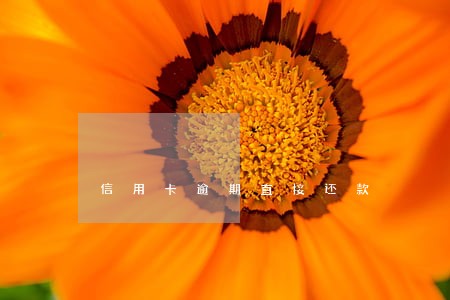 信用卡逾期直接还款 信用卡逾期直接还款