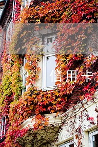 信用卡逾期直系家属 信用卡逾期直系家属