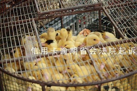 信用卡逾期省会法院起诉驳回 信用卡逾期省会法院起诉驳回