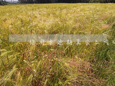 信用卡逾期真会上门吗 信用卡逾期真会上门吗