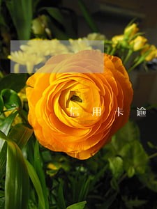信用卡逾期真是经历 信用卡逾期真是经历