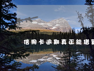 信用卡逾期真正能借到钱呢 信用卡逾期真正能借到钱呢