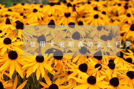 信用卡逾期真的会上门要吗 信用卡逾期真的会上门要吗