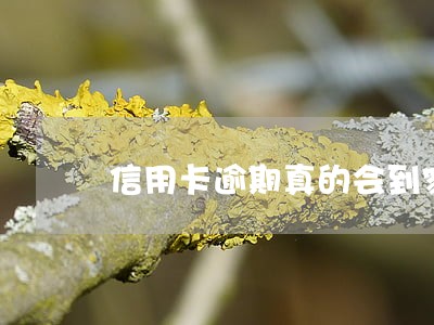 信用卡逾期真的会到家里