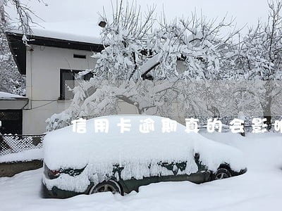 信用卡逾期真的会影响孙子吗 信用卡逾期真的会影响孙子吗