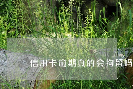 信用卡逾期真的会拘留吗 信用卡逾期真的会拘留吗