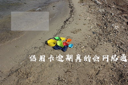 信用卡逾期真的会网络通缉吗 信用卡逾期真的会网络通缉吗
