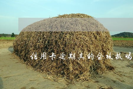 信用卡逾期真的会被抓吗 信用卡逾期真的会被抓吗