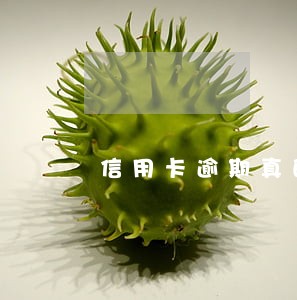 信用卡逾期真的影响征信