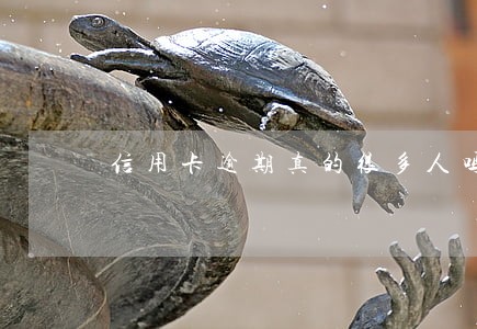信用卡逾期真的很多人吗 信用卡逾期真的很多人吗