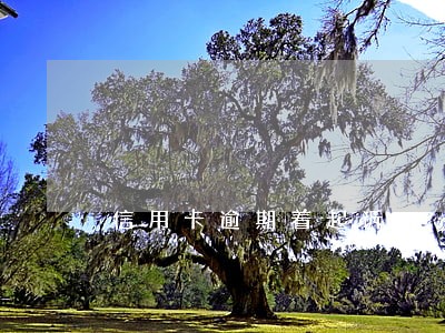信用卡逾期着起诉 信用卡逾期着起诉