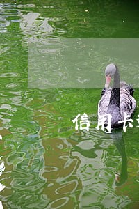 信用卡逾期知识点大全